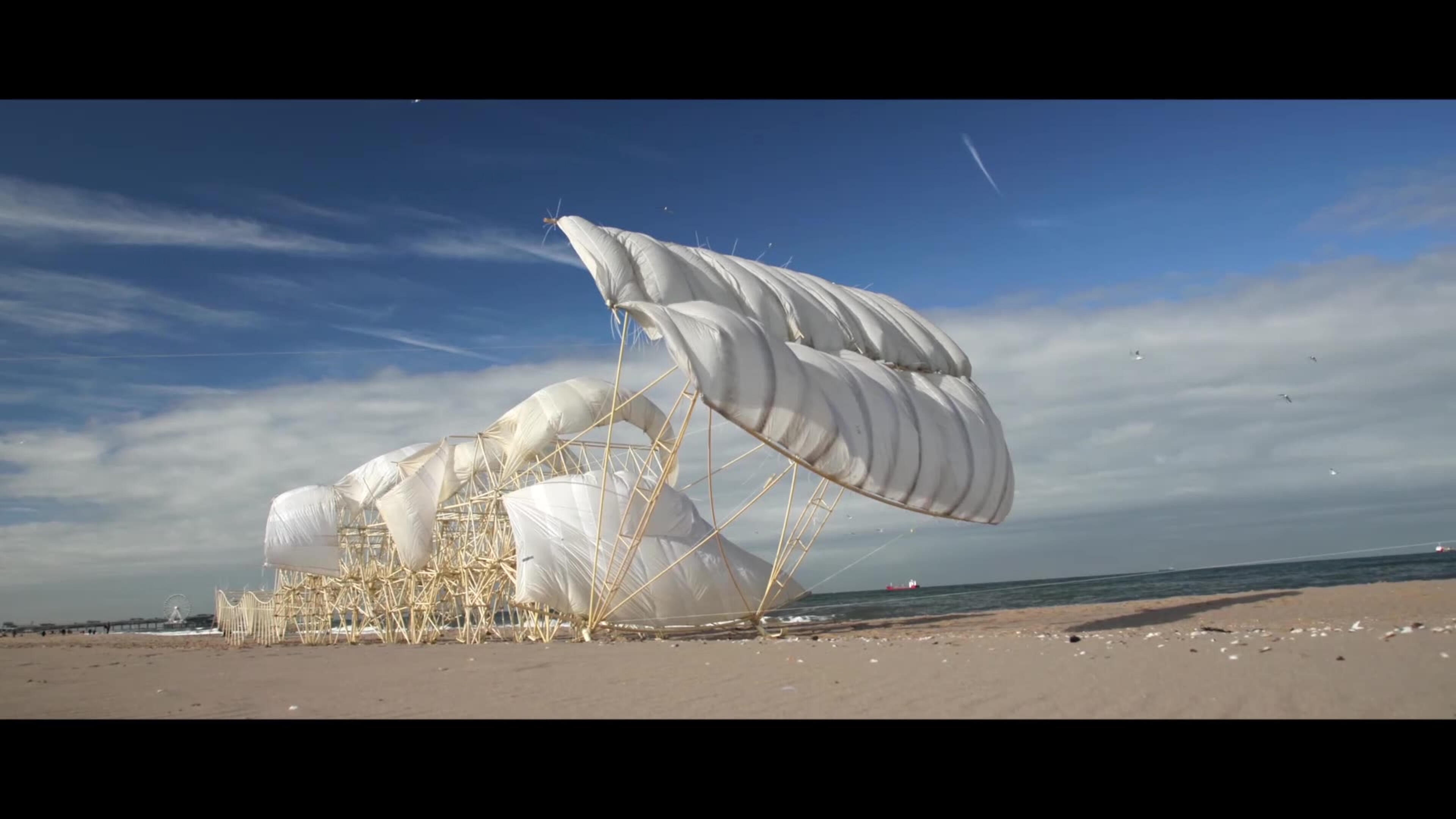 Still 08 Strandbeest, kinetic sculpture — movement, wind, and utopian engineering by the sea. © NOW Collective / Nico Weber, 2026. Cinematography: Marc Nordbruch, Strandbeests courtesy of Theo Jansen / The Hagues (NL)